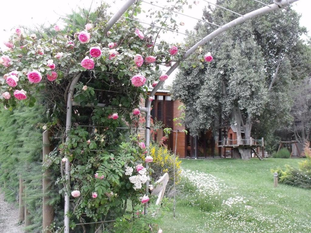 Apart De La Plaza Villa La Angostura Esterno foto